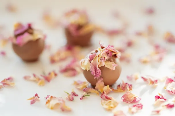 Καζίνο Παλμ Σλοτς Εφαρμογή Android/iOS